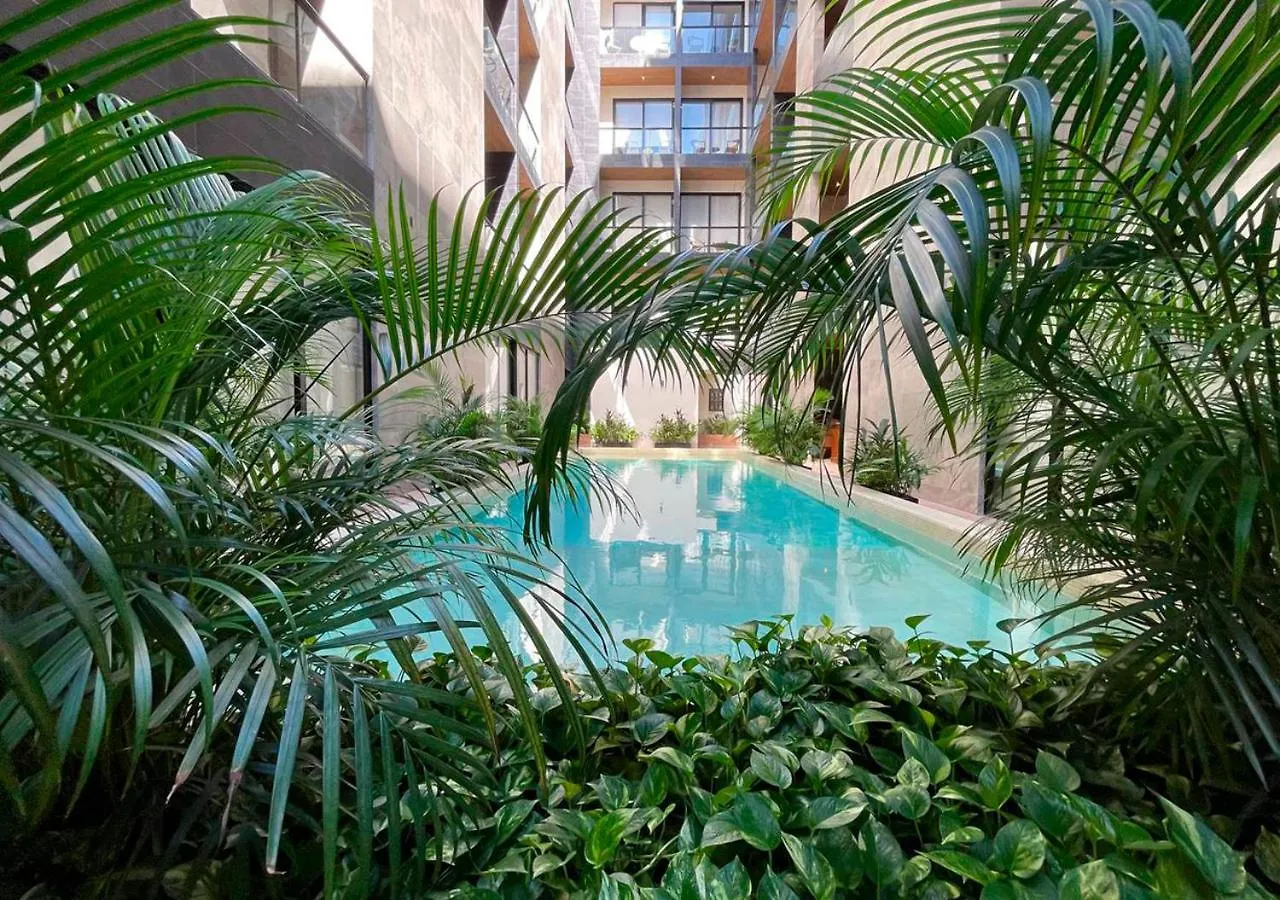 Apartamento Walking Steps To Beach Gym Jacuzzi And Ocean View Musa Playa del Carmen